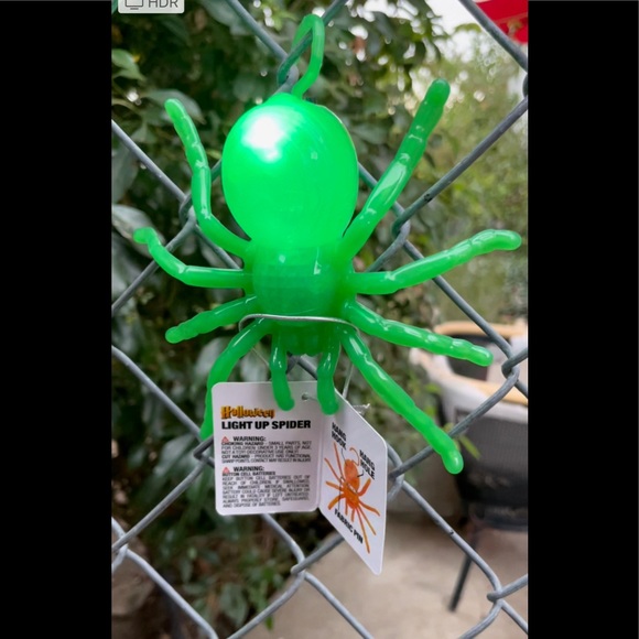 Large Halloween Spider - Picture 10 of 11